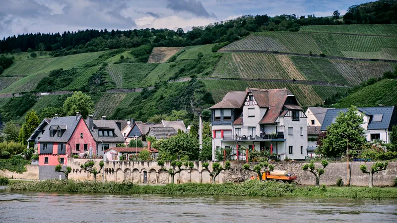 Häuser und Weinberge am Rheinufer in Andernach – Symbolbild für die Region zwischen Koblenz, Neuwied und Andernach